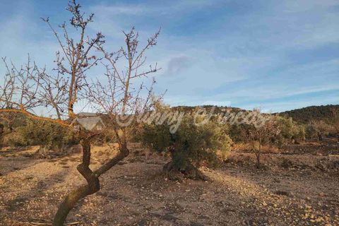 Grond in Biar, Alicante, Biar - € 65.000 | Ref: SF0442 - foto 11